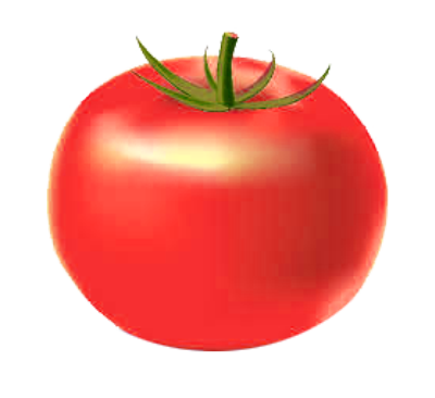 potraviny_rajce